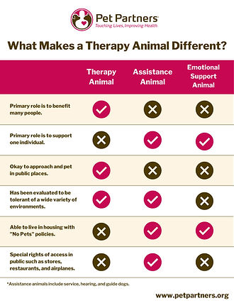 What makes a therapy animal different