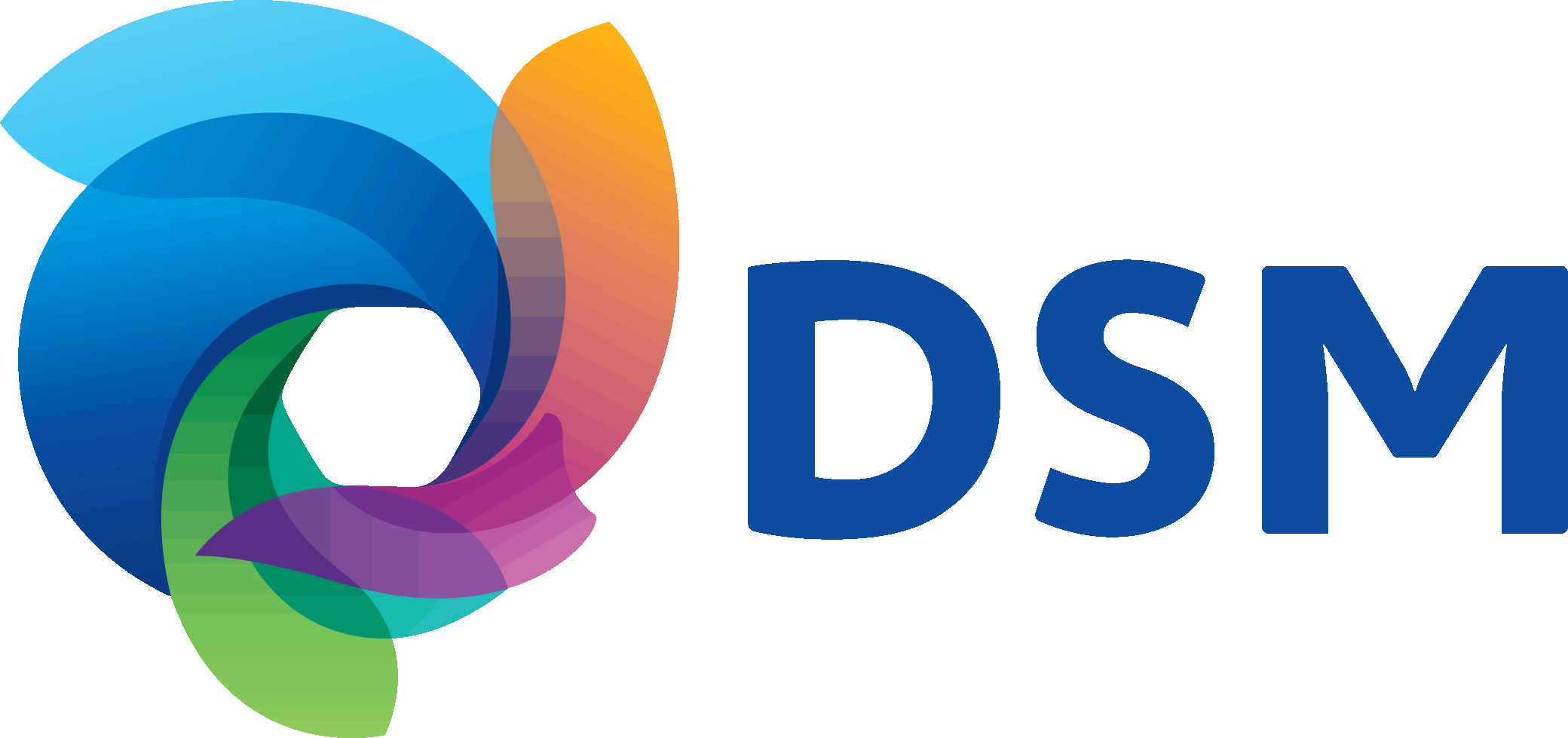 DSM_SimplifiedLogo.gif