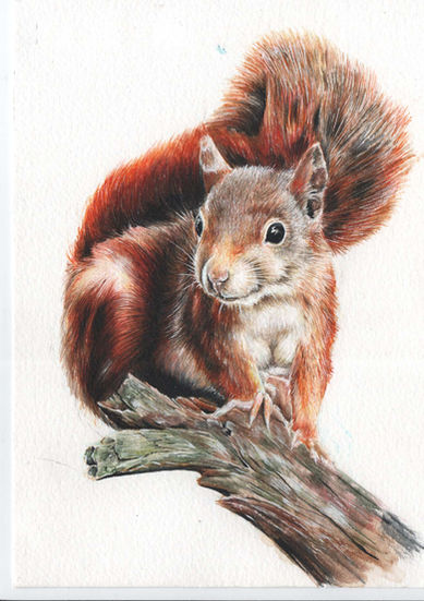 Whimsical Animal Art