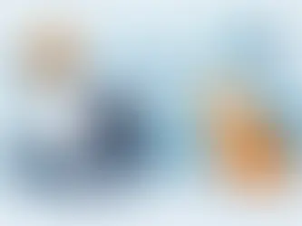 Zatvoreni mačji toalet - da li se isplati?