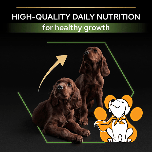 Thumbnail: Purina Pro Plan Large Athletic Puppy Healthy Start 12kg, dehidrirana Hrana Za Velike Štence