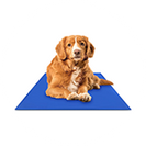 Rashladne prostirke za pse