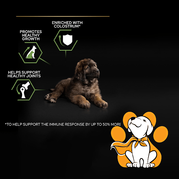 Thumbnail: Purina Pro Plan Large Robust Puppy Healthy Start 12kg, Premium Hrana za Štence
