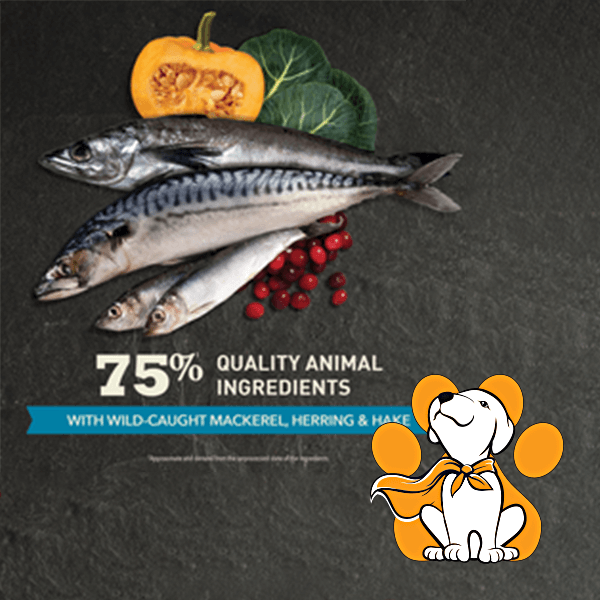 Thumbnail: Acana Cat Pacifica 340g, Super premium Granule Bogate Morskim Plodovima Za Mačke Svih Uzrasta