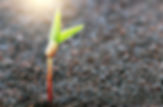 AdobeStock_87803473 (1).jpeg