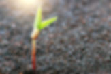 AdobeStock_87803473 (1).jpeg