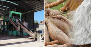 Nigeria - (EIA) Kaiama Integrated Cassava Starch Production Project at Kaiama L.G.A, Kwara State