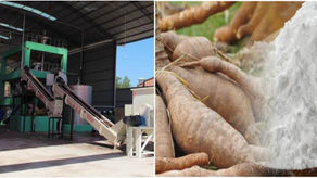Nigeria - (EIA) Kaiama Integrated Cassava Starch Production Project at Kaiama L.G.A, Kwara State