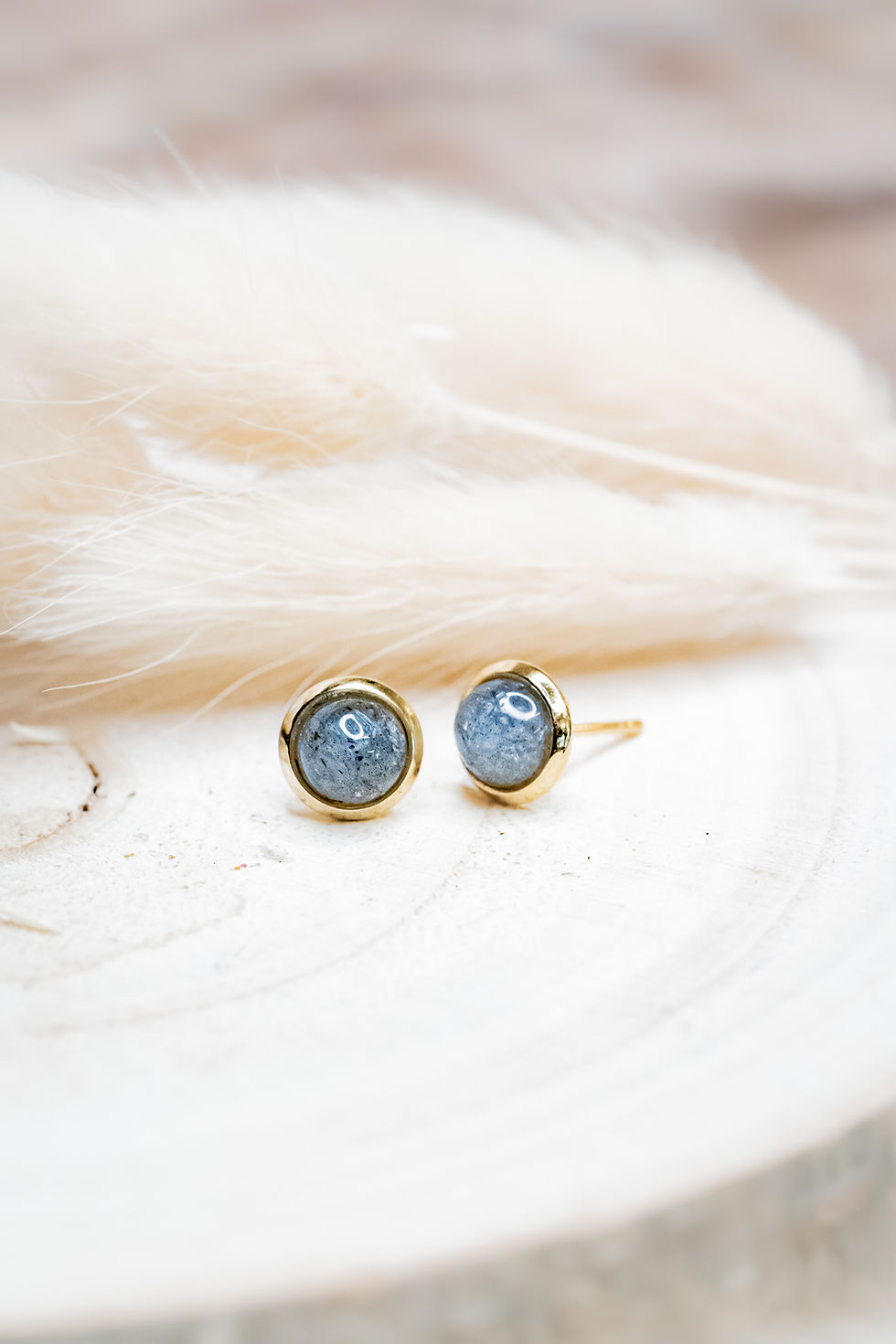 Puces d'oreille de Labradorite