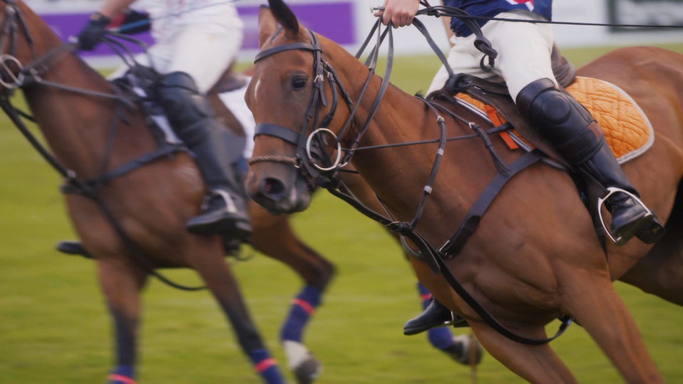 Action shot of two polo players on horses sprinting toward the ball.