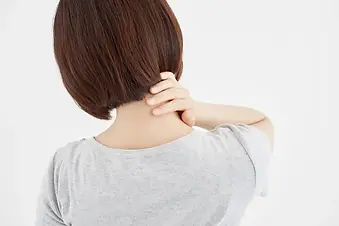 katakori.jpg.webp