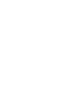 giphy.gif