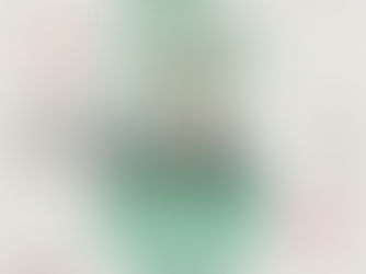 Largest ever Bonsai show in Sarawak at La Promenade