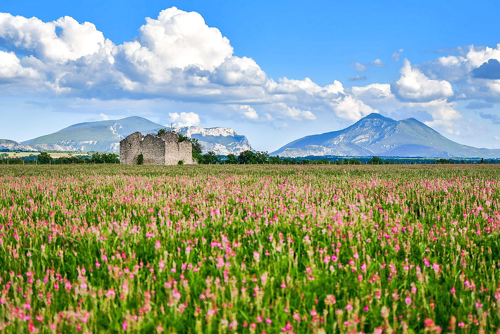 Provence