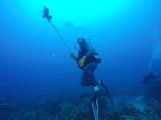 Aqua week - wetsuit stays on!