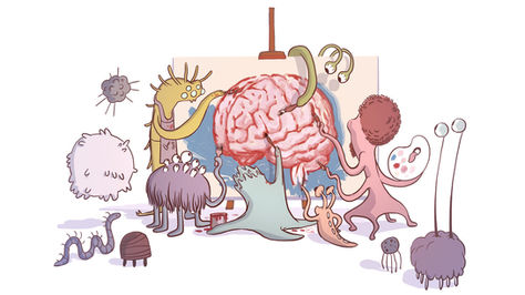 Microbiome et santé mentale : une relation insoupçonnée ( dernière partie )