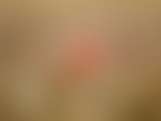 Mohnblume im Weizenfeld