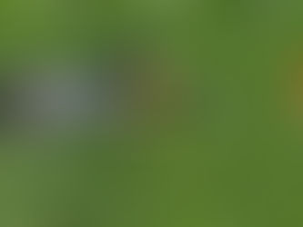 (2) Sichenstuden bei Jenins