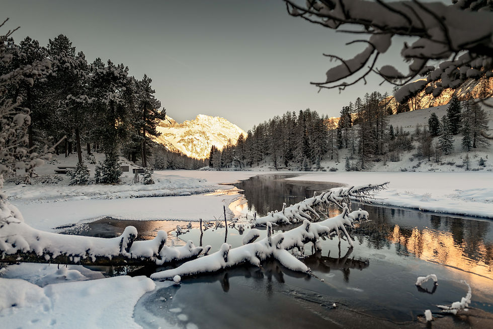 Palpuognasee im Winterkleid