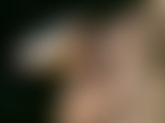 Vögel im Giessenpark...