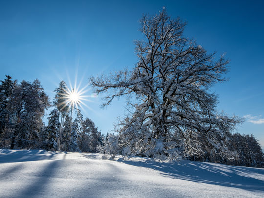 Sonne und Schnee in Chur
