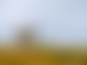 Nicht nur in Graubünden gibt es Steinböcke