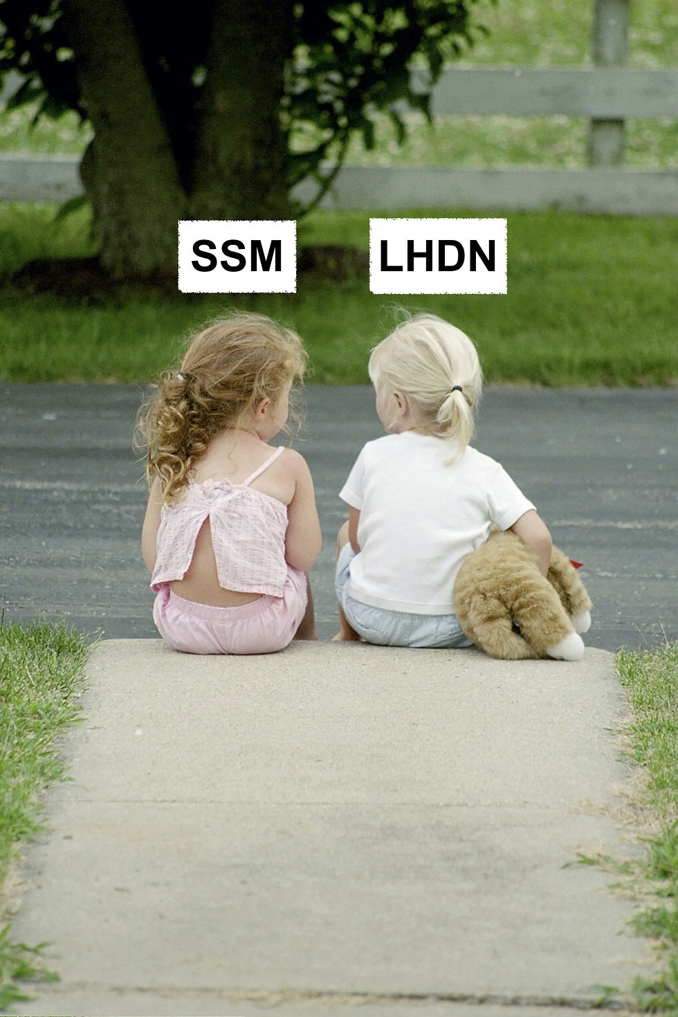 Two children sit on a sidewalk facing a tree. One holds a plush toy. Text above reads "SSM" and "LHDN". Peaceful, sunny day.