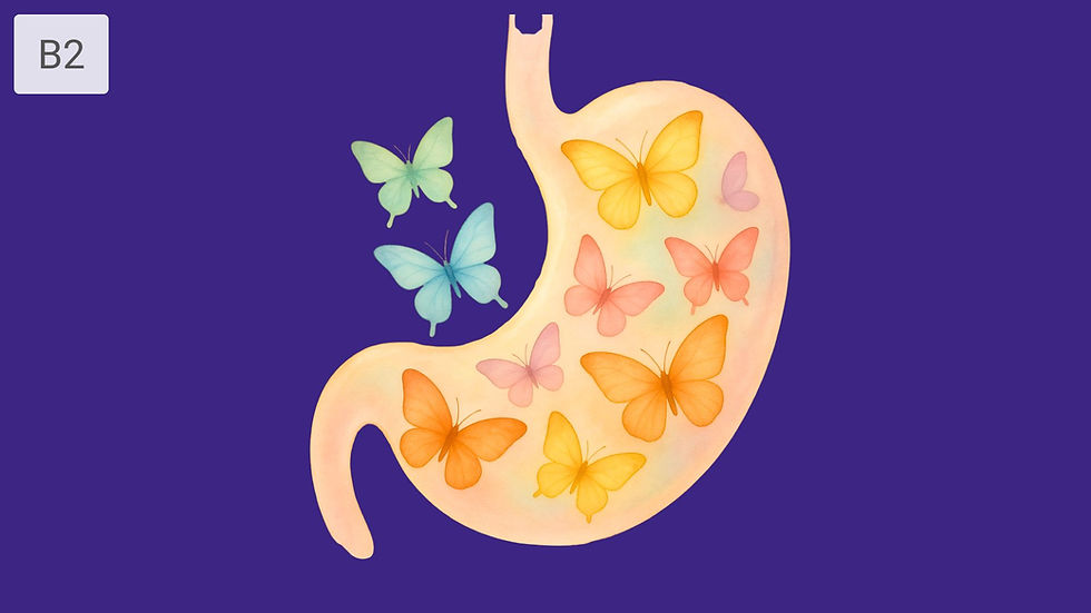Illustration of a stomach filled with colorful butterflies on a purple background. A "B2" label is in the top left corner.