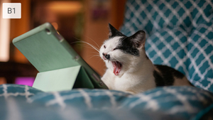 Yawning black-and-white cat on blue patterned bedding beside a mint-green tablet case, with a sleepy mood and B1 label.