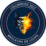 Logo bruleurs de Loup.jpg