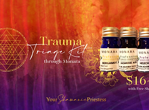 Your Shamanic Priestess FB Cover (1).png
