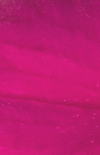 Reanimate Logo (2).png