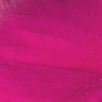 Reanimate Logo (2).png