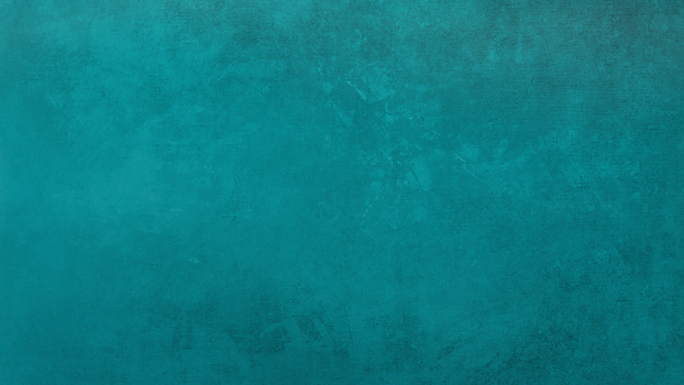 SOUTH PHILLY WELLNESS - BRAND BOOK (5).png
