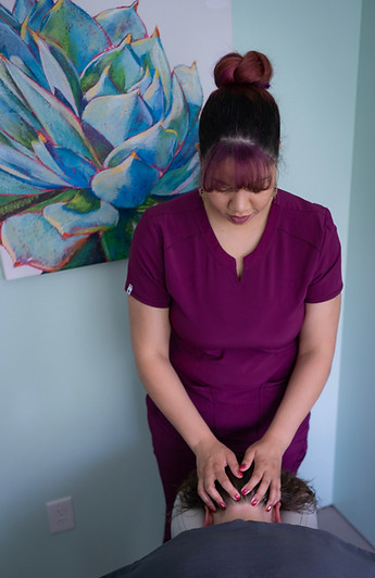 Reanimate Wellness Massage Merrillville Indiana