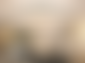 Happily Ever After Hounds Guide To Adopting a Greyhound.