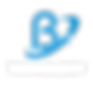 B Technology
