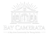 BayCam2.png