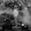 Sophie_Waller_003_edited_edited.jpg