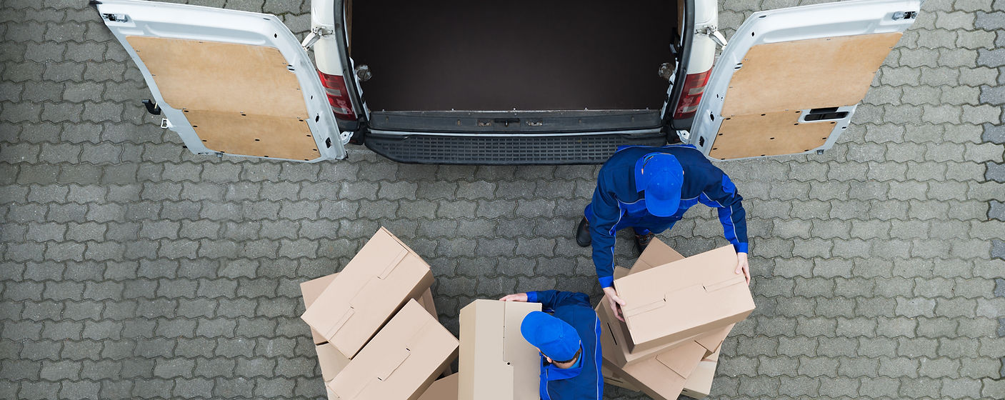 pfm removals - man & van