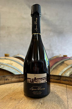 ROBERT LEJEUNE PINOT NOIR 2022.JPEG