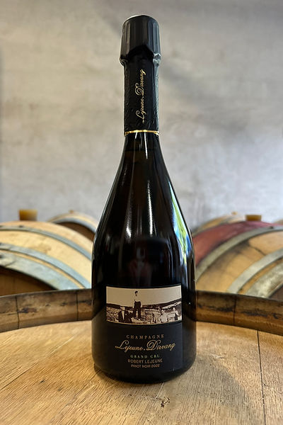 ROBERT LEJEUNE PINOT NOIR 2022.JPEG