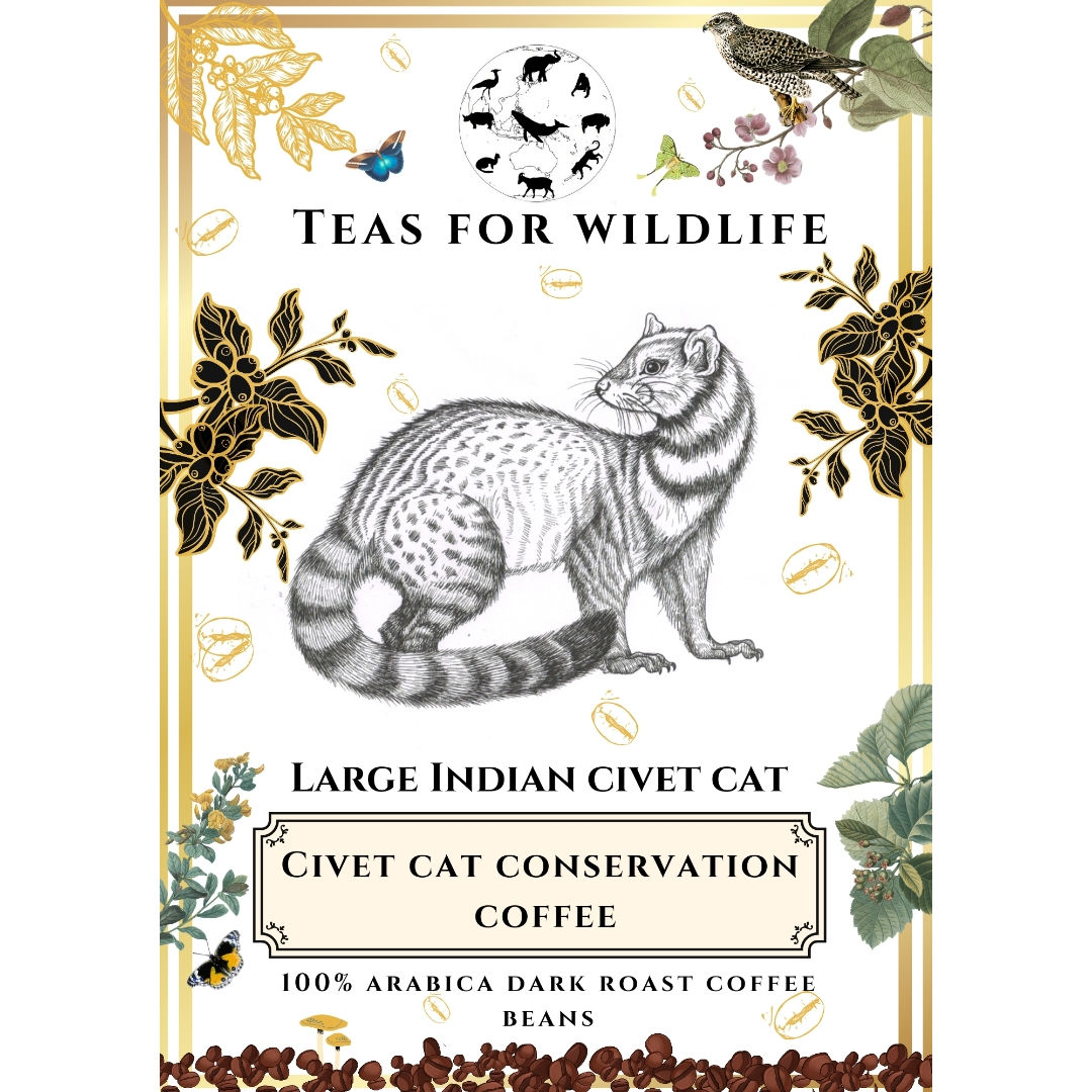 Arabica Wild Coffee Bean Medium Roast 114g / 28 cups of premium coffee 