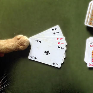 THE GAMBLER