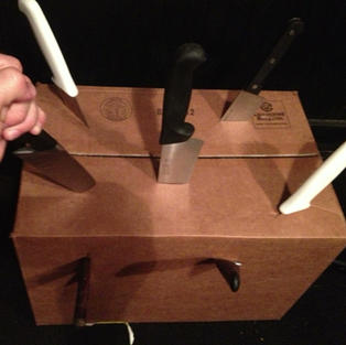 AN AMATEUR MAGICIAN CONSIDERS SCHROEDINGER'S CAT
