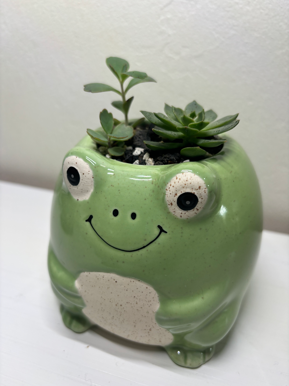 Thumbnail: Frog porcelain planter with succulents