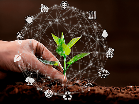 Sustentabilidade além do carbono: o que mais as empresas precisam considerar