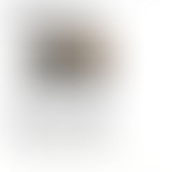 Notícia sobre a Lusoradon na edição do Diário de Viseu