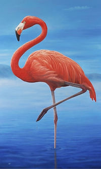 Image 4-29-25 at 9.44 PM.jpg