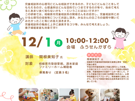 スキルアップ研修: 児童心理司の役割